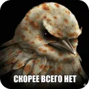 Стикер Birds Memes