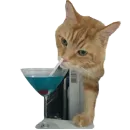 Стикер Cats