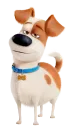 Стикер SecretLivePets