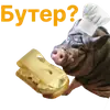 Свинья-Кулинар