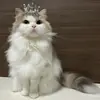 Стикер Pishi 3