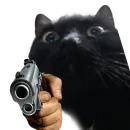 Котики с пистолетами