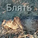 Стикер Ebatь Raznos Nahyi