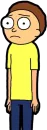 Pocket Mortys