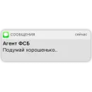 Карманный ФСБшник