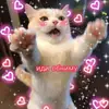 Стикер ты лапочка