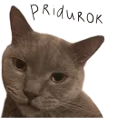 Стикер Poncik