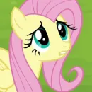 Стикер Pony 10 10 00