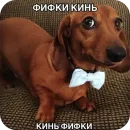 Стикер Попа антилопа