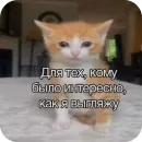 Стикер Попа антилопа