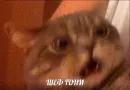 Стикер po rzhat'
