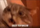 Стикер po rzhat'