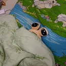 Pou Plush