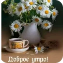 Пожелания Разное
