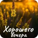 Стикер Пожелания Разное