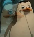 Пингвин из Мадагаскара