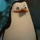 Стикер Пингвин из Мадагаскара