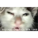 Стикер Проснулся