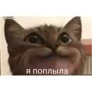 Стикер Проснулся