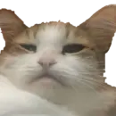 Pipisi
