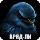 Стикер Birds Memes
