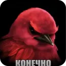 Стикер Birds Memes