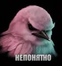 Стикер Birds Memes