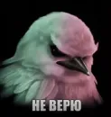Стикер Birds Memes