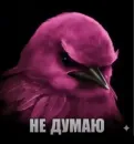 Стикер Birds Memes
