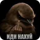 Стикер Birds Memes