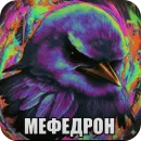 Стикер Birds Memes