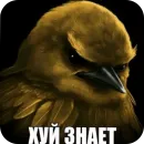 Стикер Birds Memes