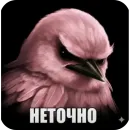 Стикер Birds Memes