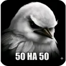 Стикер Birds Memes