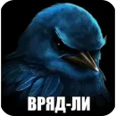 Стикер Birds Memes