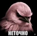Birds Memes
