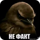 Стикер Birds Memes
