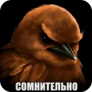 Стикер Birds Memes