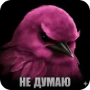 Стикер Birds Memes