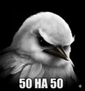Стикер Birds Memes