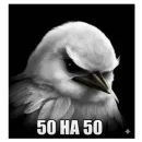 Стикер Birds Memes