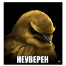 Стикер Birds Memes