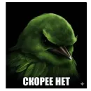 Стикер Birds Memes