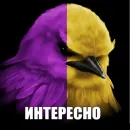 Стикер Birds Memes