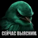 Стикер Birds Memes