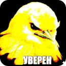 Стикер Birds Memes