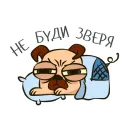 Стикер PugPack