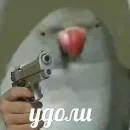 Стикер PopugLife