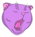 Стикер purrr