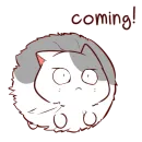 Стикер Pus Nyangami